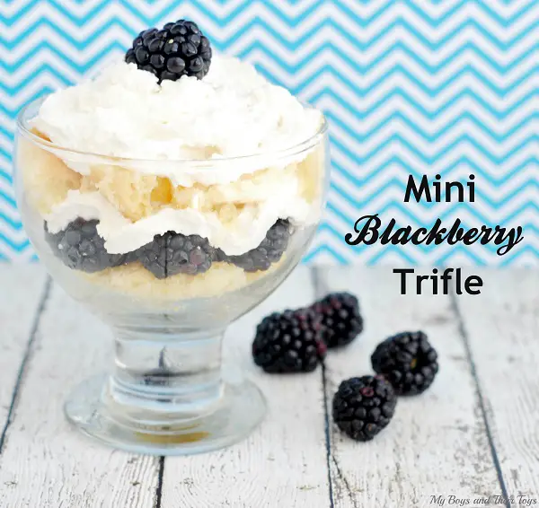 Mini Blackberry trifle