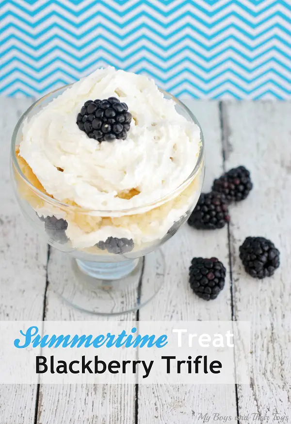 Summertime Treat Blackberry Trifle on table with blackberries