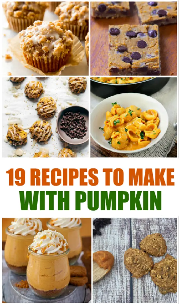 homemade pumpkin recipes