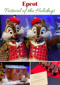 Epcot festival of the holidays