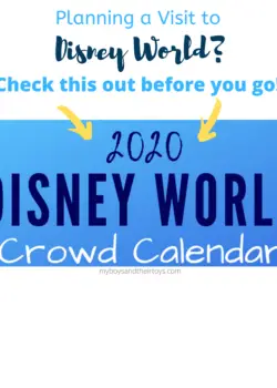 Planning a Visit to Disney World