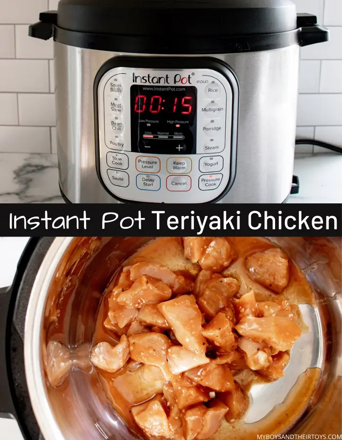 instant pot chicken recipe