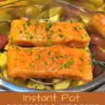 instant pot salmon