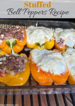 stuffed bell peppers recipe
