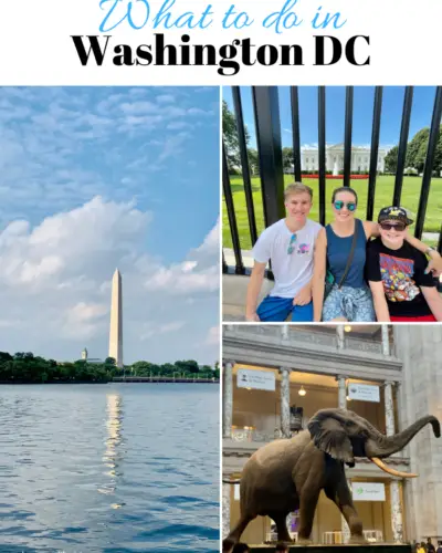 What to do in Washington DC